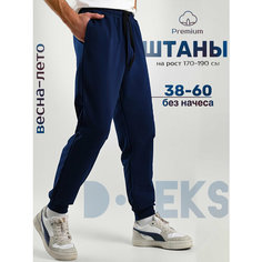 Брюки спортивные DTeks, размер 52, cиний