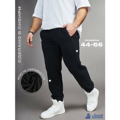 Брюки спортивные Белый Камень, размер 44-46/182-188, черный