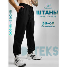 Брюки спортивные DTeks, размер 44, черный