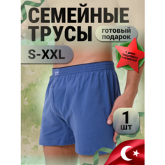 Трусы Berrak, размер L, голубой