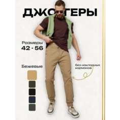 Брюки джоггеры EBSH мужские светлые без карманов, размер 30, бежевый
