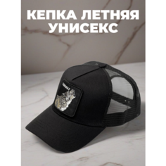 Бейсболка для мужчин, размер 54-60, черный 04772 Нет бренда