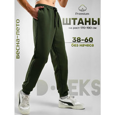 Брюки спортивные DTeks, размер 54, зелёный