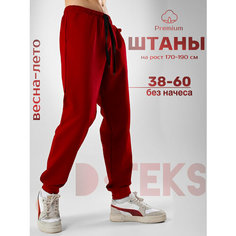Брюки спортивные DTeks, размер 44, бордовый