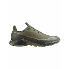 Кроссовки Salomon Alphacross 5 Gtx, полнота F (EU)/ на среднюю стопу, размер 7.5 UK, зеленый