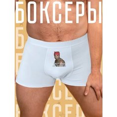 Трусы , размер M, белый Jojo Print