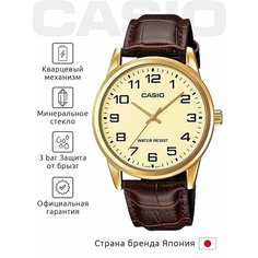 Наручные часы CASIO Collection, золотой/коричневый