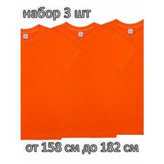 Футболка BONITO KIDS Базовая коллекция, комплект из 3 шт., размер 13, оранжевый