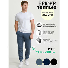 Брюки джоггеры R&K FASHION, размер 48/187-200, серо-голубой