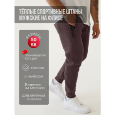 Брюки спортивные ING DROP Спортивные штаны теплые с начесом 52 размер, размер 3XL, серый