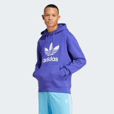 Худи спортивное adidas Originals Adicolor Classics Trefoil, размер L, , energy ink