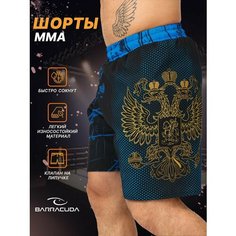 Бермуды Barracuda, размер 3XL, синий, черный
