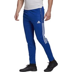 Брюки спортивные adidas, размер L, синий