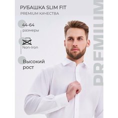 Рубашка Richtrends, размер 44, белый