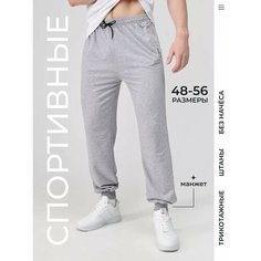 Брюки спортивные , размер 56-58, серый Alessandro Trikonni