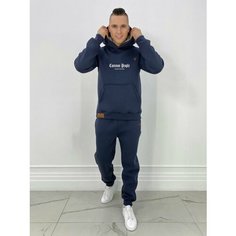 Костюм спортивный , размер 48, серый Нет бренда