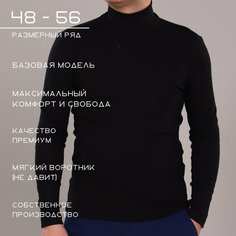 Водолазка Хайтек, размер 48/176, , черный