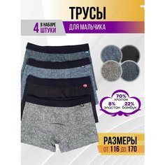 Трусы Ebro & Tsis, размер M (128-134), коричневый, черный, синий, серый