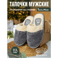 Тапочки Smile of Mister Кэжуал, размер 41, серый/бежевый