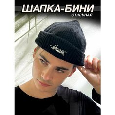 Шапка для мужчин, размер универсальный, черный Homerries