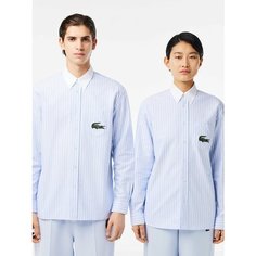 Рубашка LACOSTE, размер TL, голубой