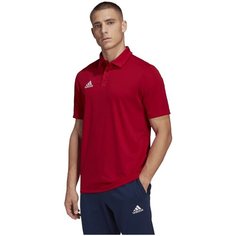 Поло adidas Entrada 22 Polo Shirt, размер S INT, красный