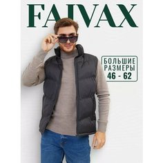 Жилет , размер 46, черный Faivax Wear