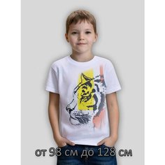 Футболка Базовая коллекция, размер 5, синий Iv Demaks