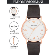 Наручные часы EMPORIO ARMANI Kappa, коричневый/золотистый