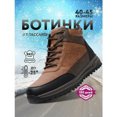 Ботинки T.Taccardi, размер 41, коричневый