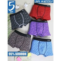 Трусы Jim Hussey, 5 шт., размер 148-158 (11-12) 4XL, разноцветный