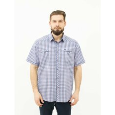 Рубашка , размер 4XL, бежевый Bosman Big