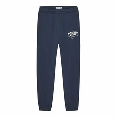 Брюки спортивные Tommy Jeans, размер TM, cиний