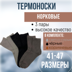 Носки Фенна, комплект, 3 пары, размер 41/47, многоцветный