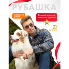 Рубашка БЕЧЕТ, размер 48-50, серый/синий