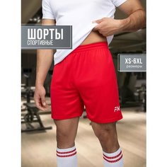 Шорты FN Stride шорты мужские спортивные, размер S, красный ФН