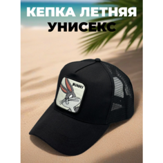 Бейсболка для мужчин, размер 54-60, черный 990 Нет бренда