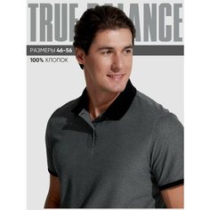 Поло TRUE BALANCE REGULAR FIT, размер 48, темно-серый