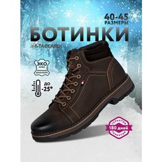 Ботинки T.Taccardi, размер 42, коричневый
