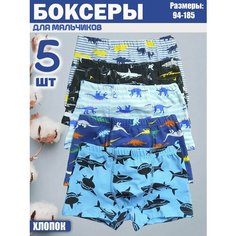 Трусы Jim Hussey, 5 шт., размер 1-3 (M), мультиколор