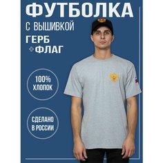 Футболка Филя., размер 2XL, серый