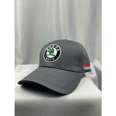 Бейсболка Skoda Бейсболка мужская SKODA Кепка ШКОДА для мужчин, размер one size, gray