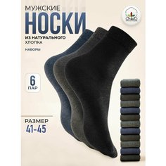 Носки АЛЙША Клаccик, размер 41-45, серый