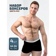 Трусы Ebro & Tsis, комплект из 4 шт., размер 4XL, серый
