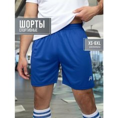 Шорты FN Stride шорты мужские спортивные, размер XS, синий ФН
