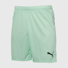 Шорты PUMA Puma Teamgoal 70575260, размер XXL, светло-зеленый