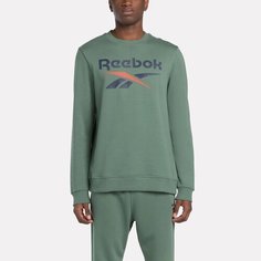 Свитшот Reebok Identity Big Logo, размер L, , зеленый