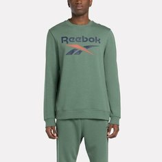 Свитшот Reebok Identity Big Logo, размер XL, , зеленый