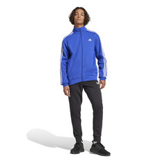 Костюм спортивный adidas, размер S INT, синий