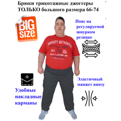 Брюки джоггеры New Jordan, размер 70, серо-синий